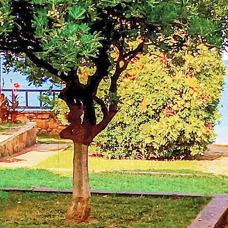 Leventoxori Ilias With Sea View 06 * Korakokhórion